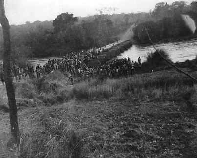 Death of a hippo - the gathering by the river.