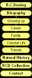 main_menu_black.JPG (43493 bytes)