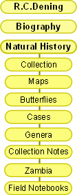 menu2.JPG (44195 bytes)