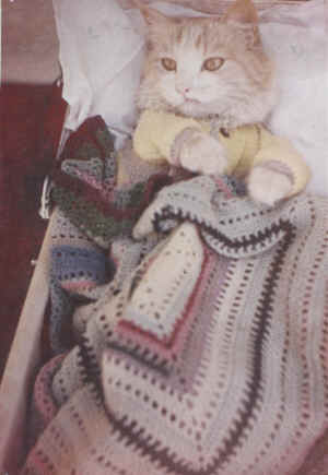 Tibby in the doll's pram.