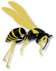 wasp.png (8670 bytes)
