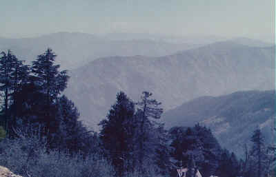 The view from Wild Flower Hall