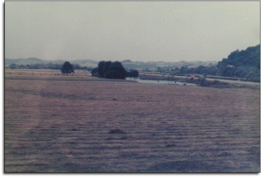 domagoj.JPG (129161 bytes)