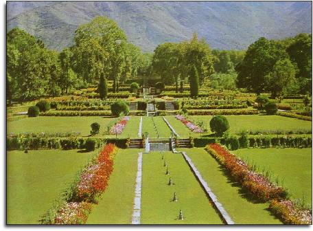 Nishat Gardens, Srinagar, India