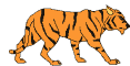 tigeranm.gif (21810 bytes)