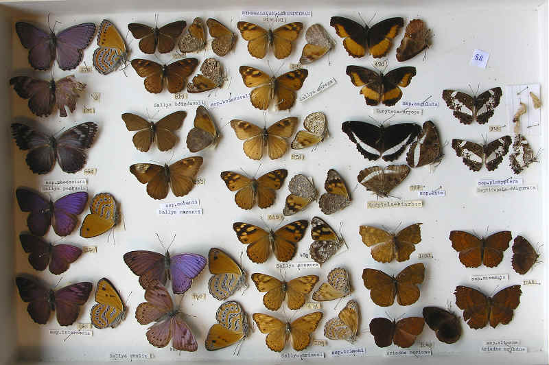 wpe79.jpg (60584 bytes)