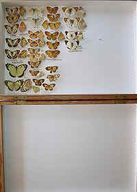 wpe118.jpg (7682 bytes)