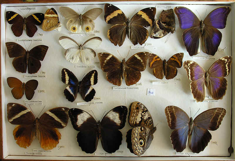 wpeC3.jpg (67188 bytes)