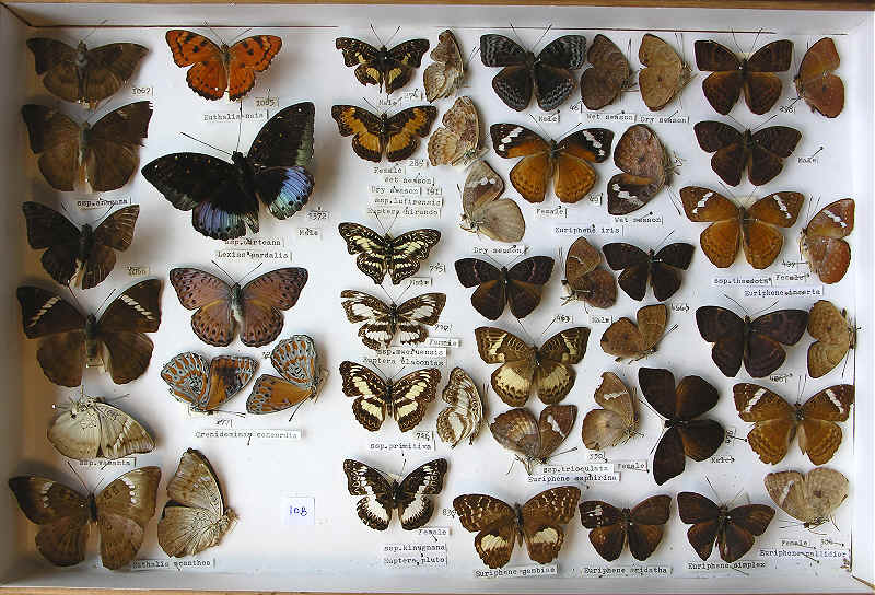 wpe83.jpg (82179 bytes)