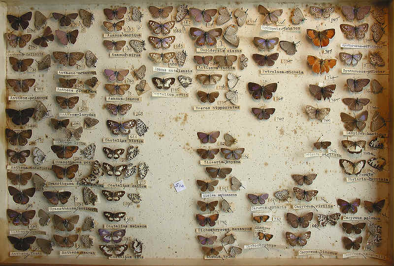 wpeBE.jpg (90248 bytes)