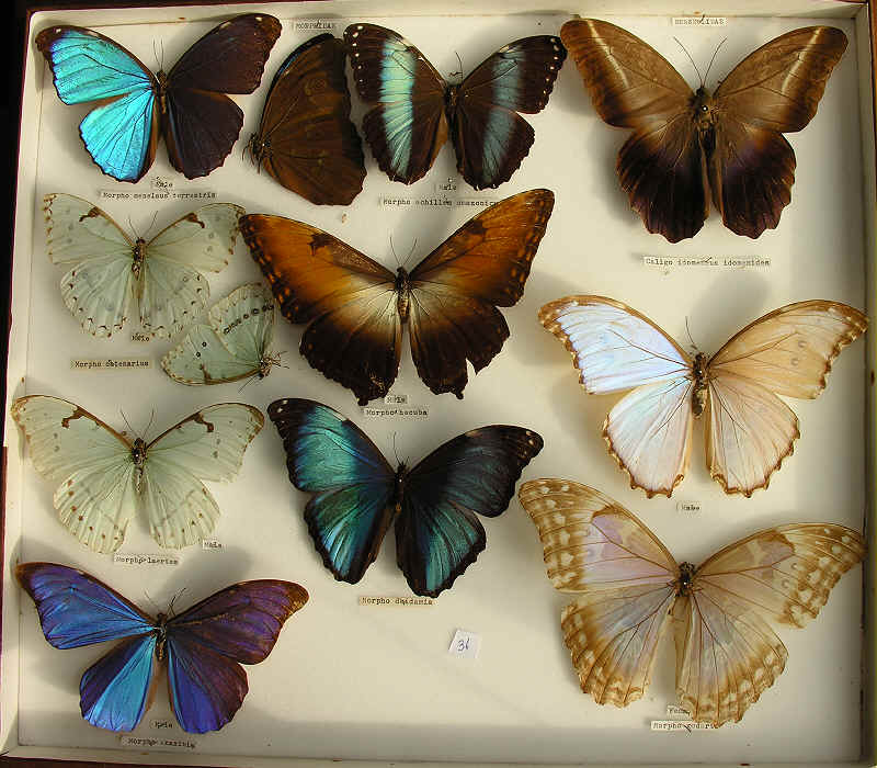 wpeB1.jpg (72436 bytes)