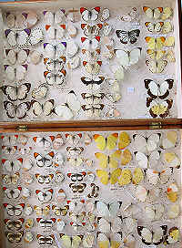 wpeB1.jpg (16747 bytes)