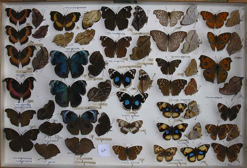 wpe78.jpg (77734 bytes)