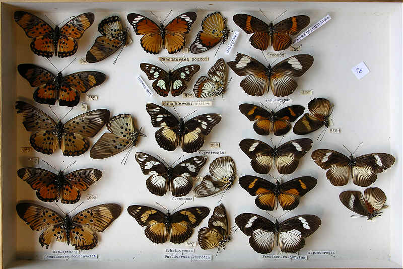 wpe7E.jpg (75457 bytes)