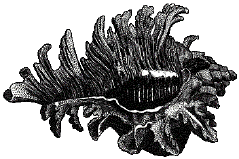 BD10937_.GIF (26501 bytes)