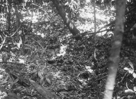 The source of the Zambezi River