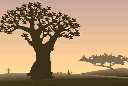 The varied types of savanna habitats