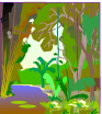 Rainforest Biomes